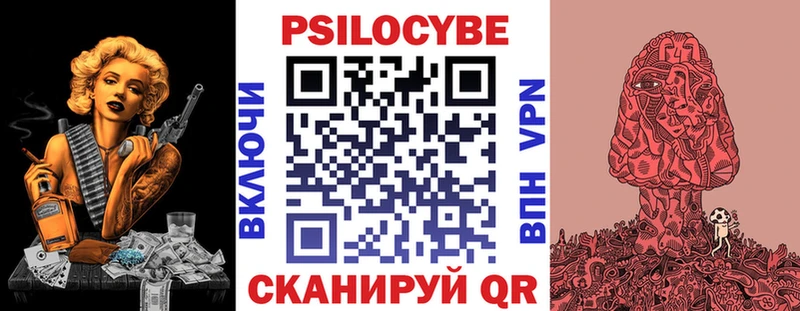 Псилоцибиновые грибы GOLDEN TEACHER  цена   Каргат 